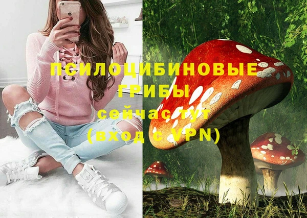 герыч Надым