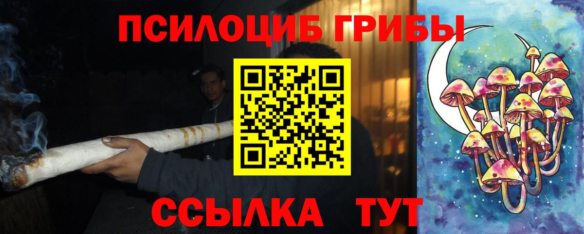 Галлюциногенные грибы Psilocybine cubensis Лысьва