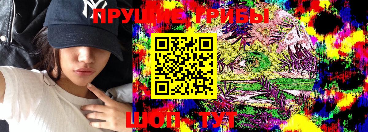 Галлюциногенные грибы мицелий  закладки  Лысьва  Псилоцибиновые грибы Psilocybe 